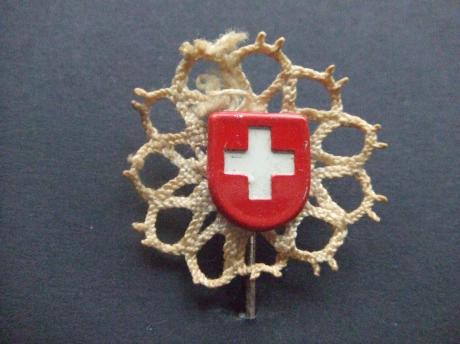 Zwitserland vlag gehaakte omlijsting